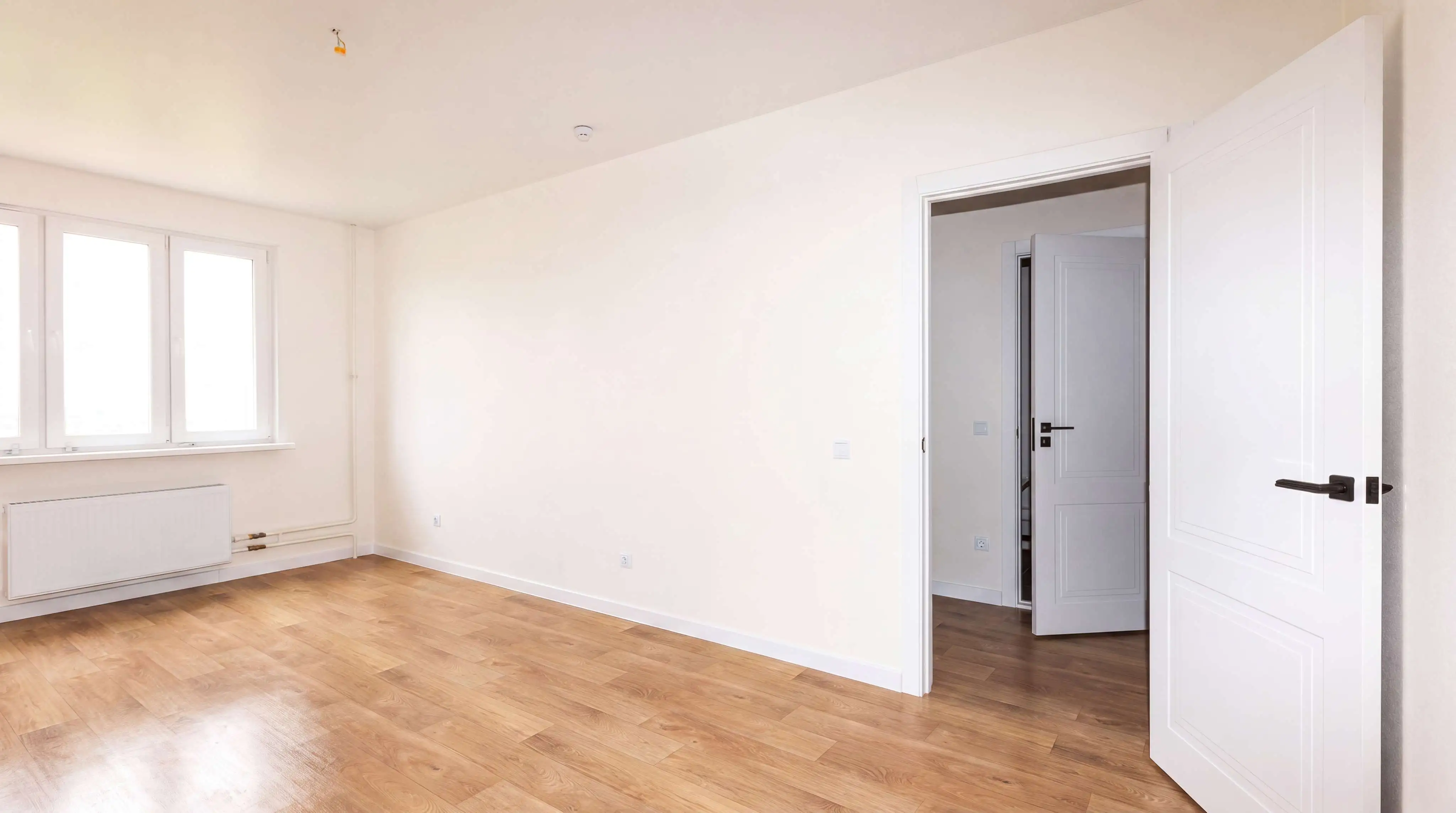 renovation